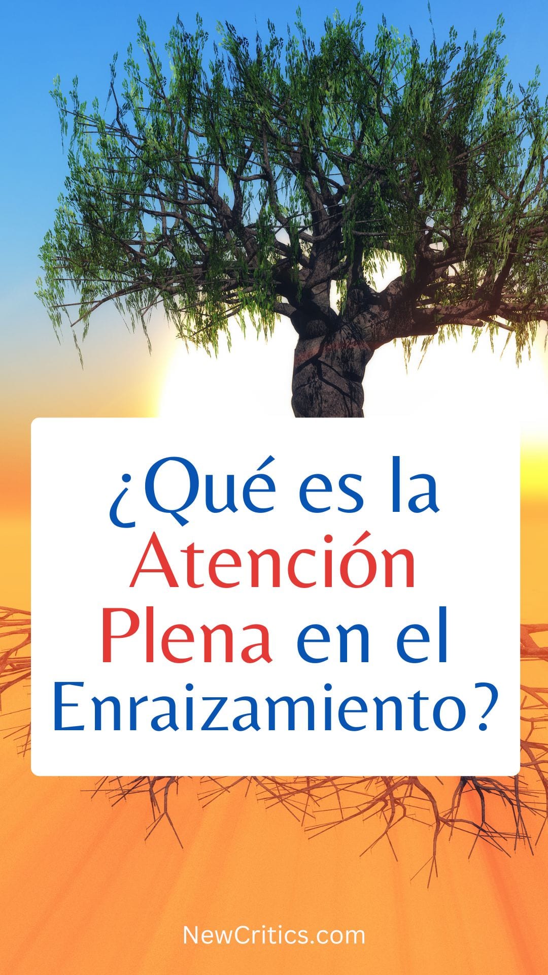 ¿Qué es la Atención Plena en el Enraizamiento? / C