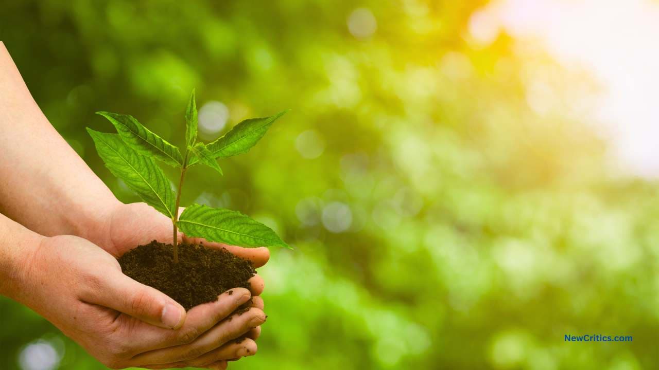 Spirituality through Eco-Friendly Living / C