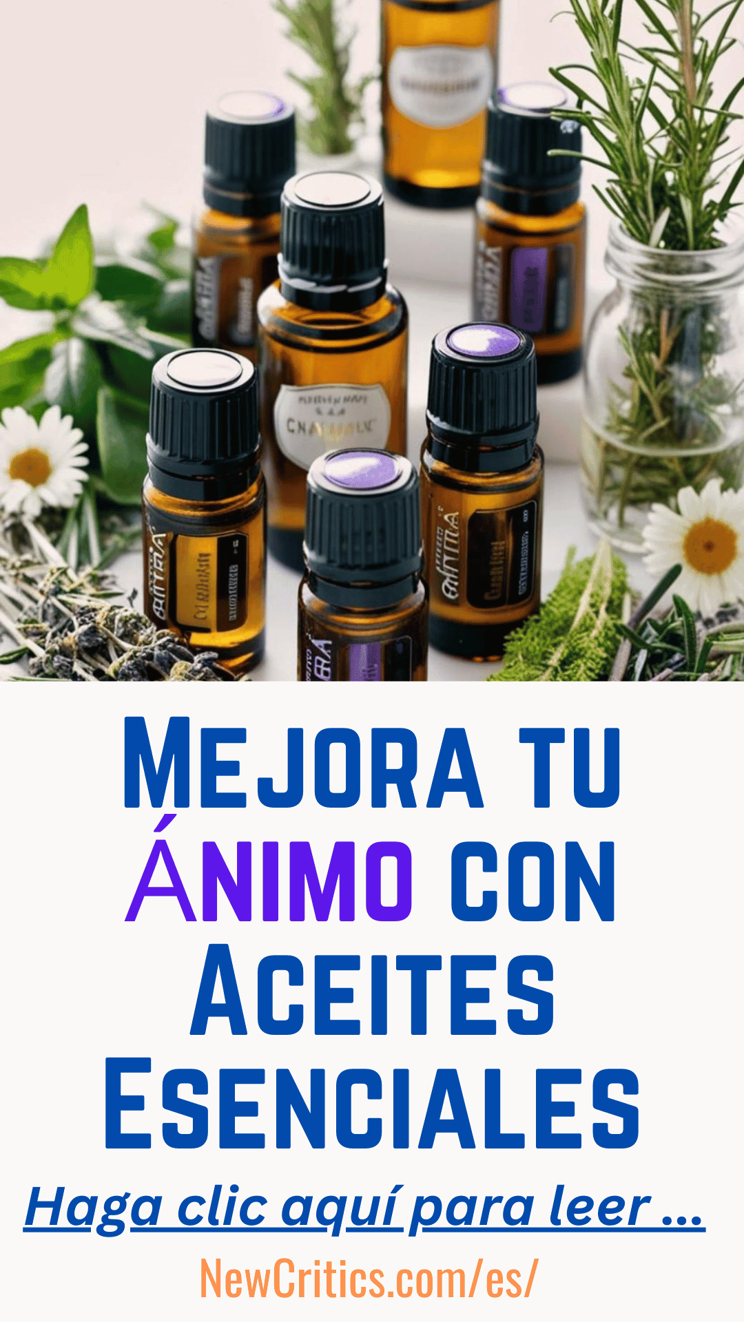 Mejora tu Ánimo con Aceites Esenciales
