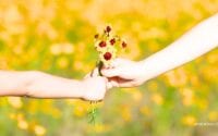 La ciencia detrás de la gratitud