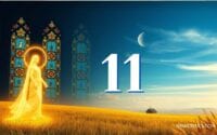 El Mensaje del 11