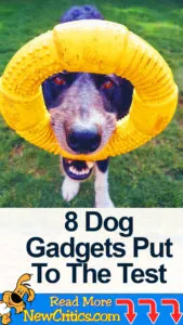 8 Dog ???? Gadgets put to the Test