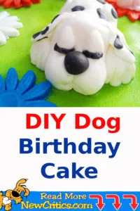 DIY Dog Birthday Cake