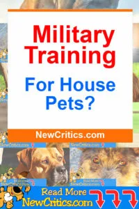 Military Training For House Pets