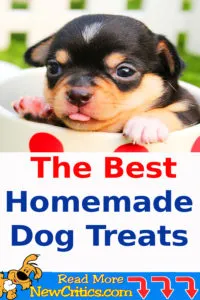 The Best Homemade Dog Treats