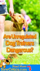 What Are Unregulated Dog Trainers? ????‍♀️ Why Are They Dangerous? Every dog owner wants to have their dogs to behave and be disciplined, that’s why they hire trainers.