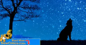 Are dogs really descendants of wolves? Find out now!