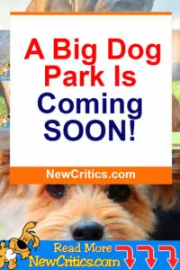Newcritics-Dog-Park