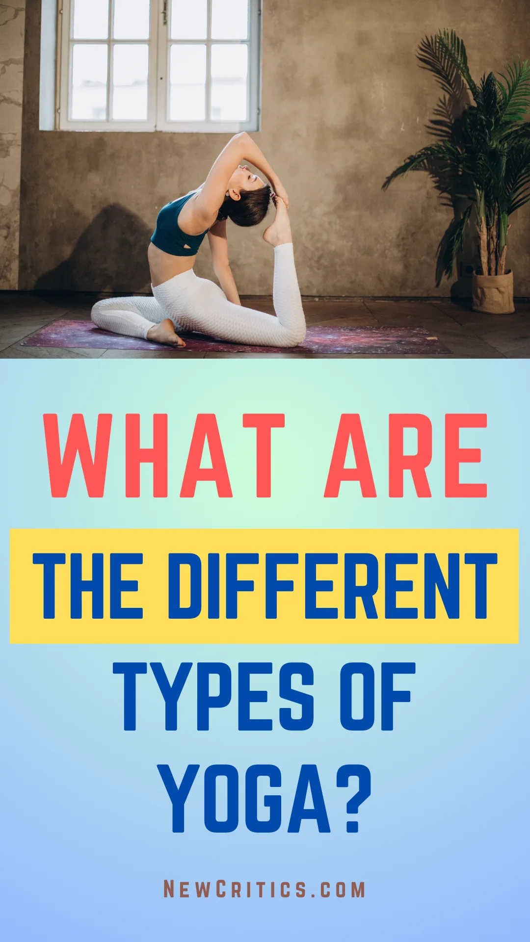 What are the Different Types of Yoga / Canva