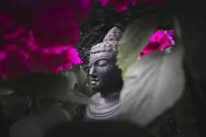 Nidra Yoga / Pixabay