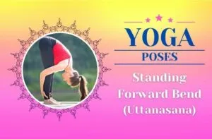 Forward Bend / Canva