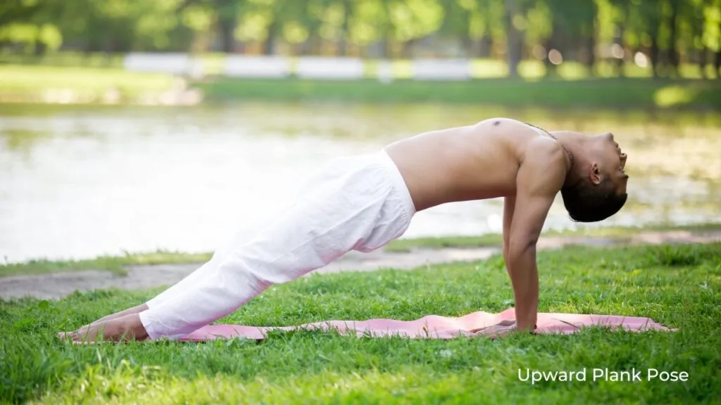 Purvottanasana Upward Plank Pose / Canva