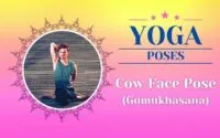 Yoga Cow Face Pose / Canva