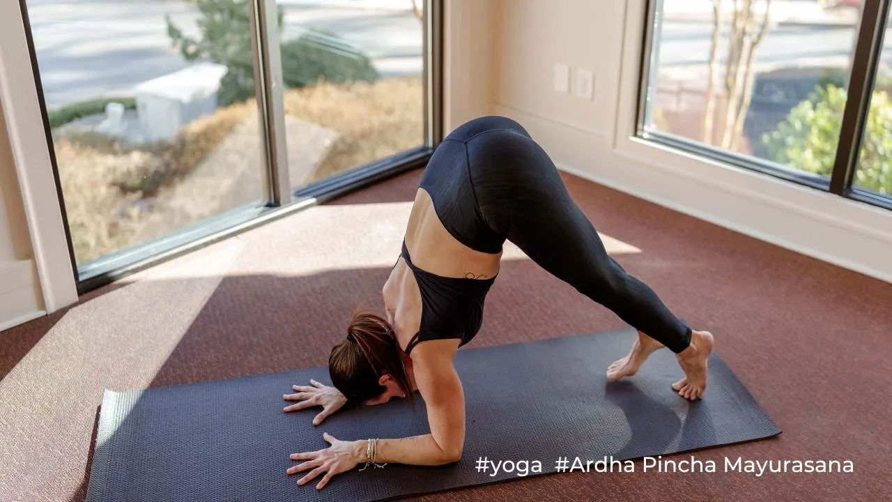 Yoga Dolphin Pose / Canva