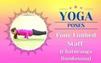 Yoga Four Limbed Staff Pose / Canva
