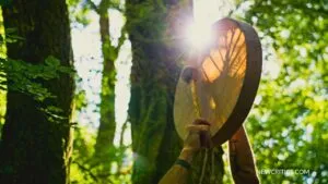 Iboga Ayahuasca