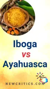 Iboga vs Ayahuasca / Canva