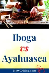 Iboga Risks / Canva