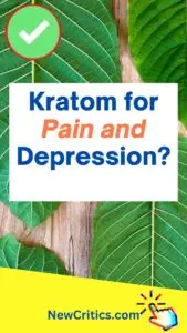 Kratom for Pain and Depression / Canva