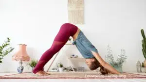 Downward Facing Dog / Canva
