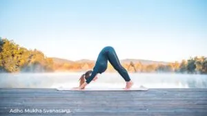 Downward Facing Dog / Canva