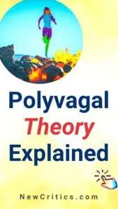 Polyvagal Theory Explained / Canva