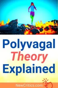 Polyvagal Theory Explained / Canva