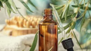 Top Brands Of Essential Oils / Canva