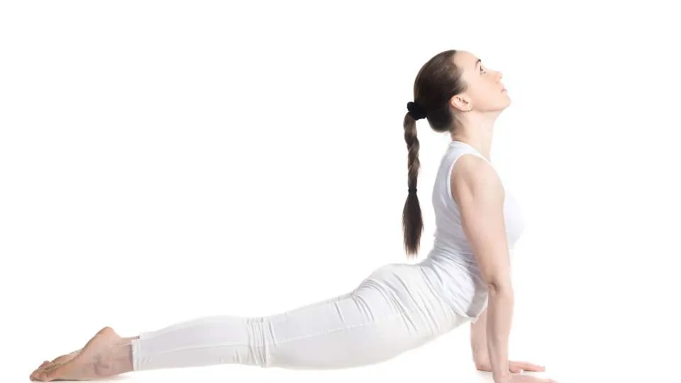 Updog Benefits / Canva