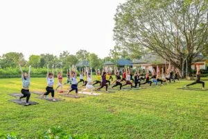Themes For Yoga Classes / Piyabay
