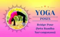 Bridge Pose (Setu Bandha Sarvangasana) Canva