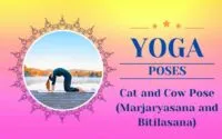 Cat and Cow Pose (Marjaryasana and Bitilasana) Canva