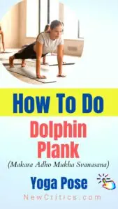 Dolphin Plank Pose / Canva