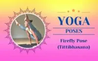 Firefly Pose (Tittibhasana) Canva