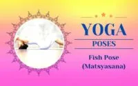 Fish Pose (Matsyasana) Canva