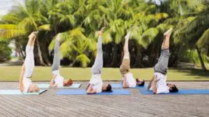 Sarvangasana yoga pose / Canva