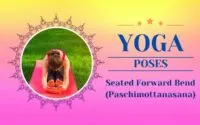 Seated Forward Bend (Paschimottanasana) Canva