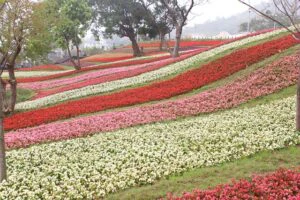 5 Layers Of The Human Energy Field / Pixabay