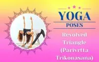 Revolved Triangle Pose (Parivrtta Trikonasana) Canva
