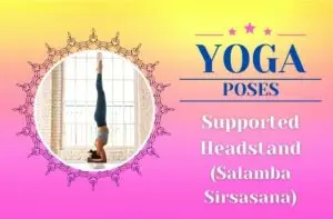 Supported Headstand / Canva