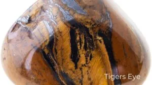 Tigers Eye / Canva