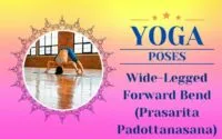 Wide-Legged Forward Bend (Prasarita Padottanasana) Canva
