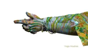Yoga Mudras / Canva