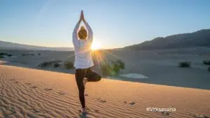 yoga tree pose vrksasana / Canva
