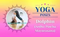 Yoga Dolphin Pose / Canva