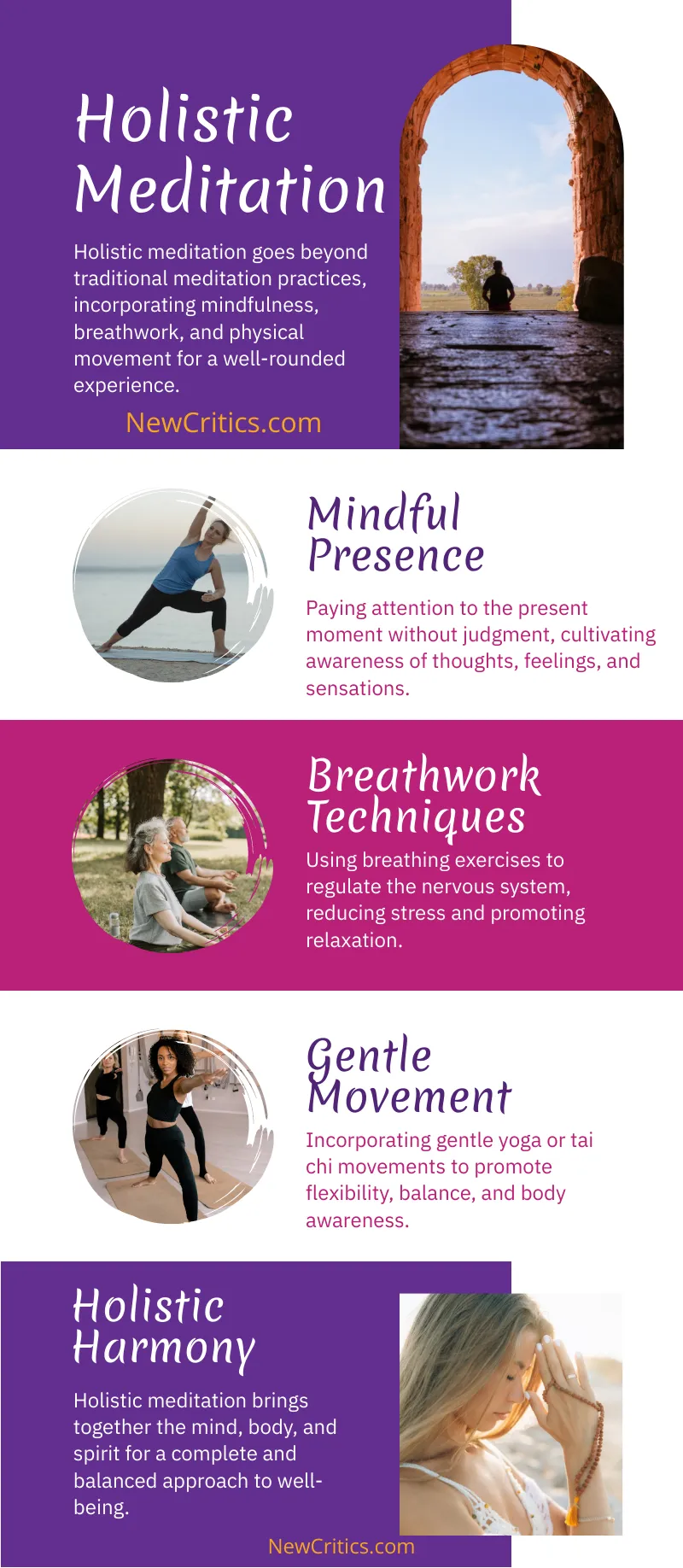 Holistic Meditation Infographic