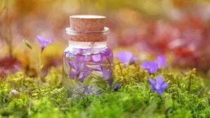 Natural Remedy for Anxiety Relief / Canva