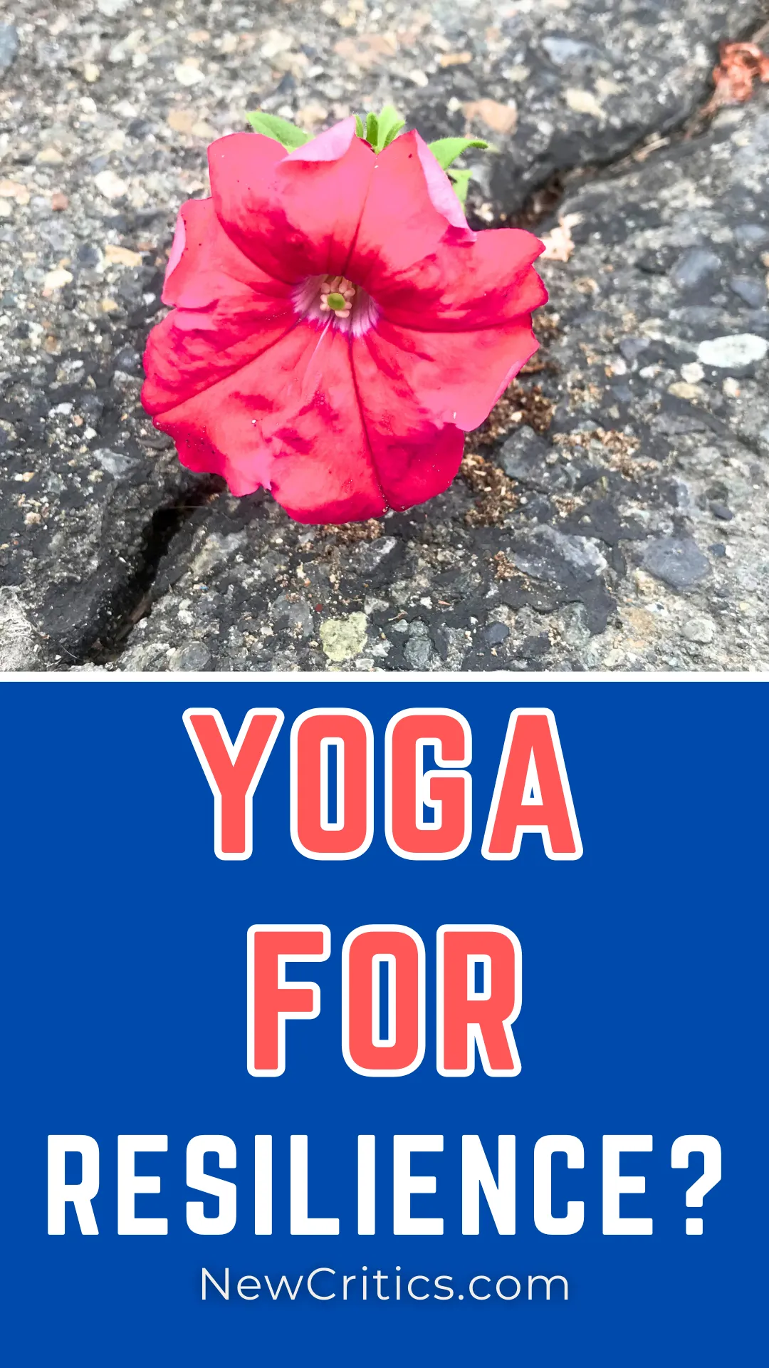 Better Resilience With Yogan / Canva