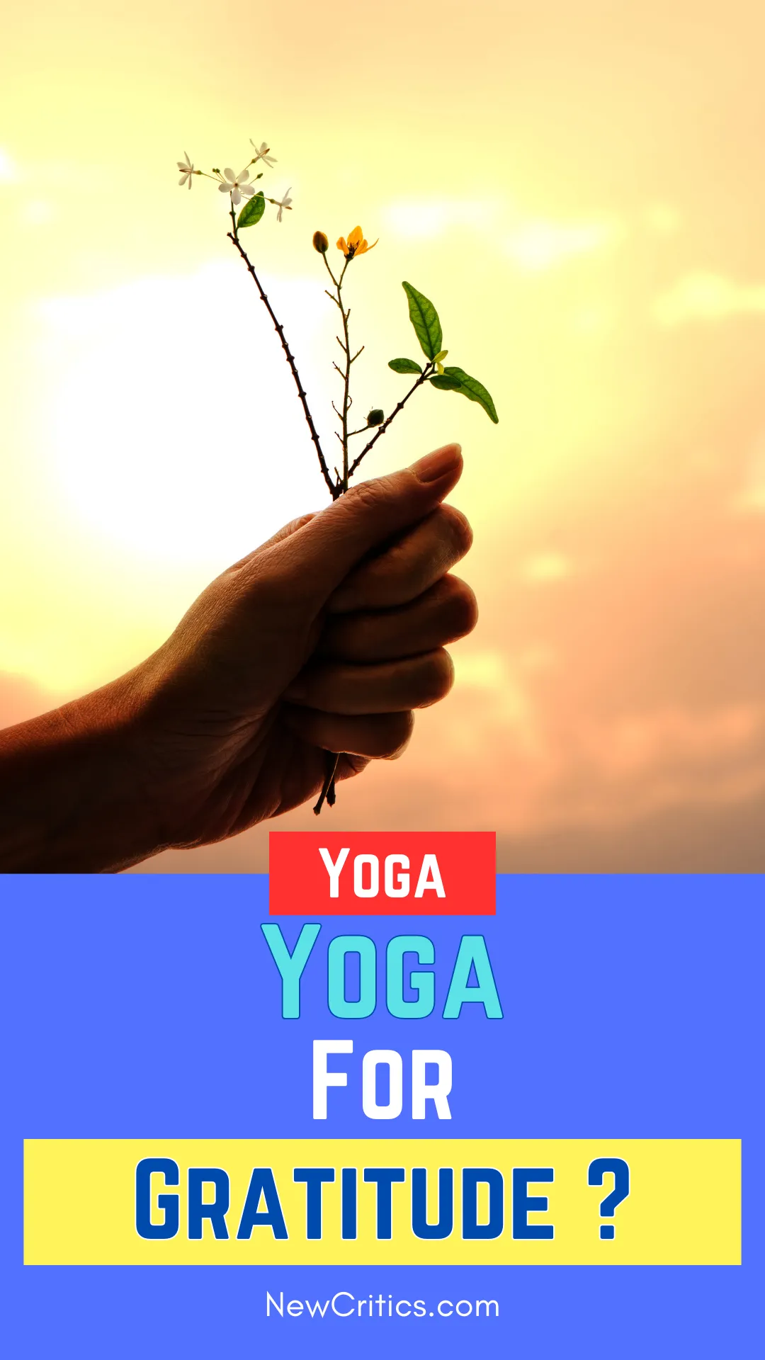 Yoga for Gratitude / Canva