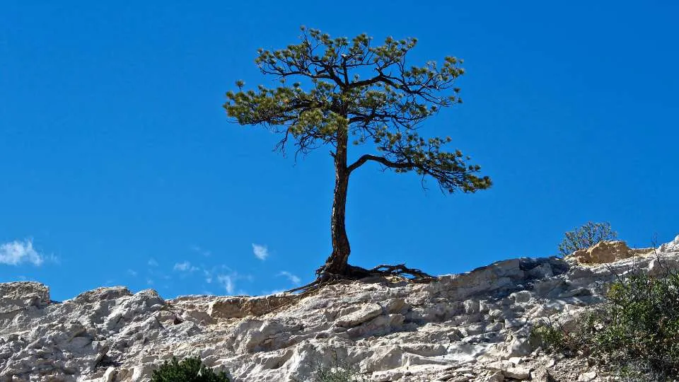 Yoga for resilince / Canva